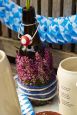 Mit Zweigen von Erica gracilis und Callunen wird aus einer Bierflasche mit Bügelverschluss im Handumdrehen eine Vase.