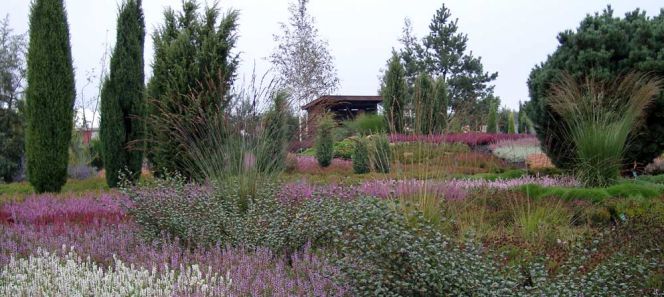 Heideparks und -landschaften